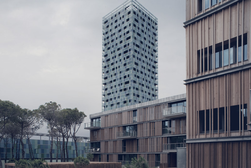 View of residential buildings with their wooden cladding as opposed to the glass of the tower.
